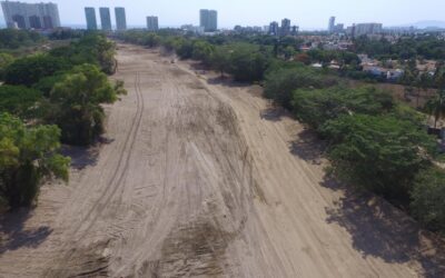 Limpia el municipio de Vallarta el río Pitillal y arrasa con bosque de sauces