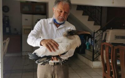 La Costa de Jalisco es increíblemente diversa pero solo algunos trabajan para conservarla