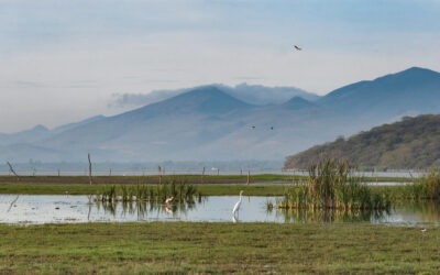 Buscan declarar a Laguna de Atotonilco Área Natural Protegida