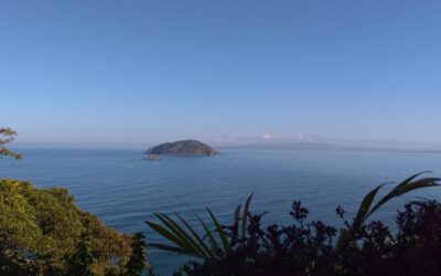 Listan nueva especie endémica a la Bahía de Banderas; la amenaza Vía Corta a Vallarta