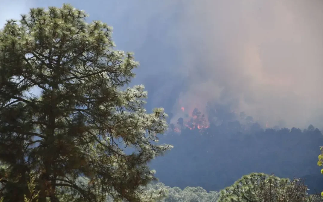 Costa Sierra Occidental: «hay más incendios que brigadas y cuerpos de bomberos»