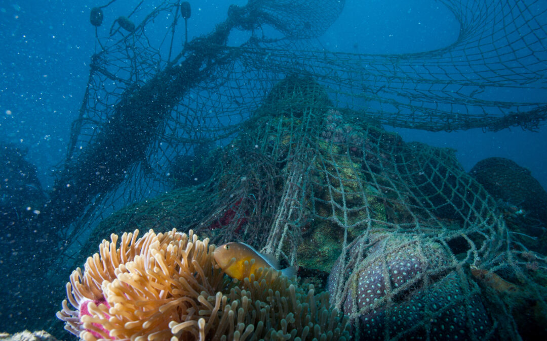 Las redes fantasma representan 46% del plástico del océano