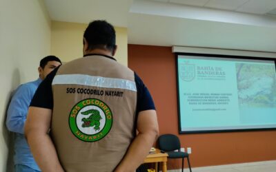 SOS Cocodrilo capacita a periodistas de la Bahía de Banderas