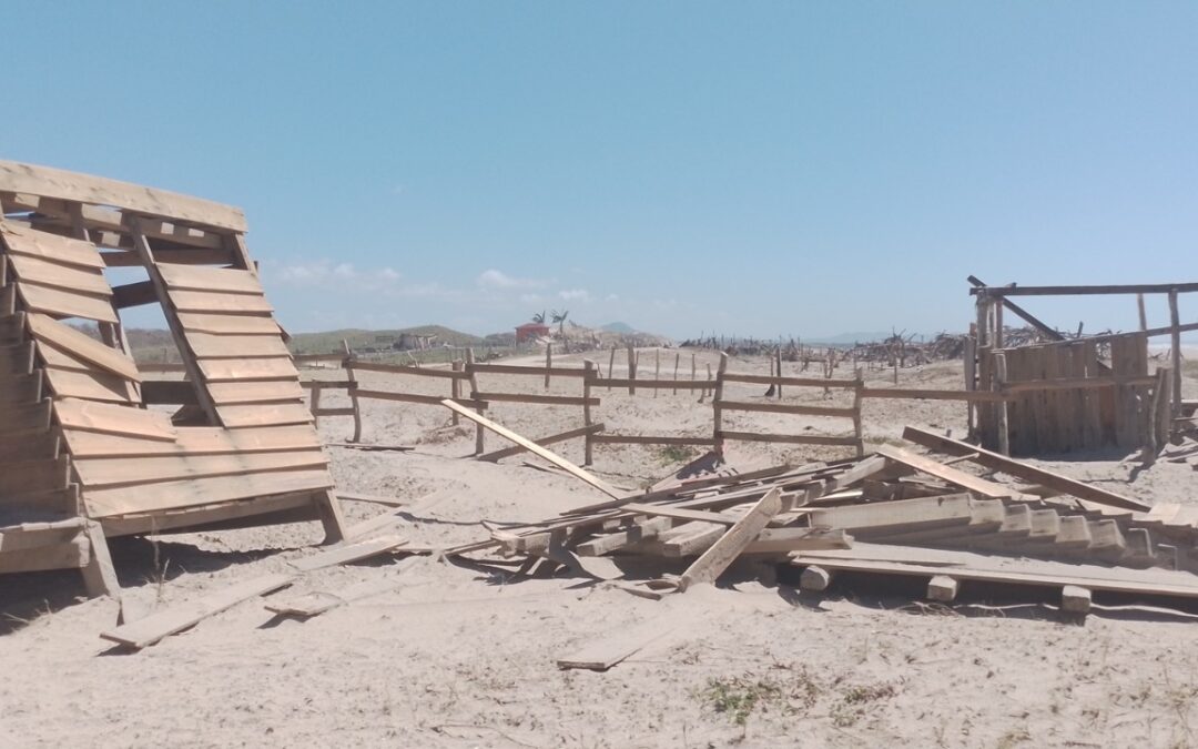 Lidia devastó campamentos tortugueros en la Costa de Jalisco