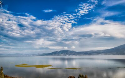 «Sin humedales sanos, no hay agua dulce», alerta ONG