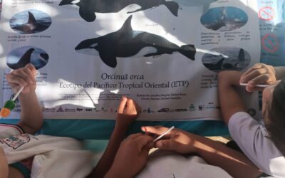 Especies migratorias protagonizan feria ambiental en Lo de Marcos