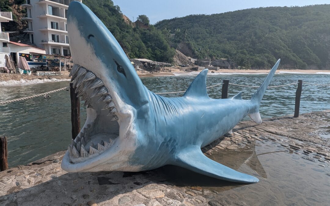 Invitan a pescar basura en el mar de Puerto Vallarta