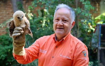 Recaudan fondos para rescatar fauna silvestre en la Costa Sur