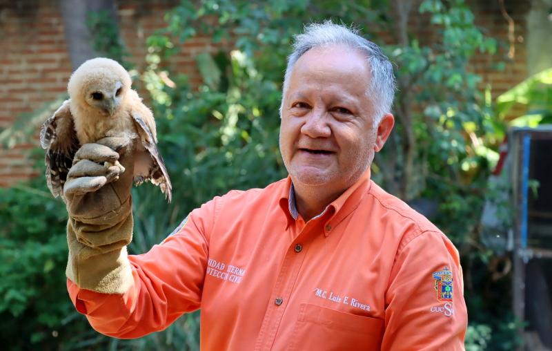 Recaudan fondos para rescatar fauna silvestre en la Costa Sur