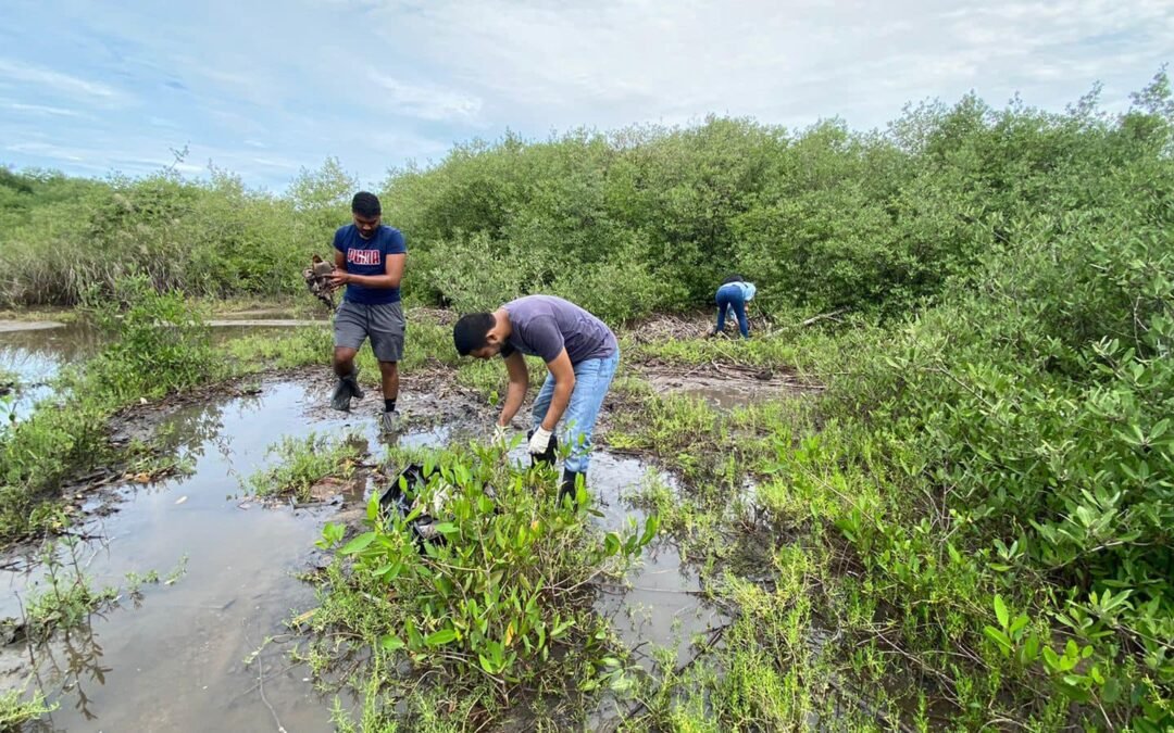 Debe lidiar estero El Salado con la basura de 33 mil vecinos