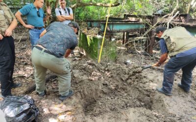 Atentan contra cocodrilo de Estero El Salado: lo decapitan y mutilan su cola